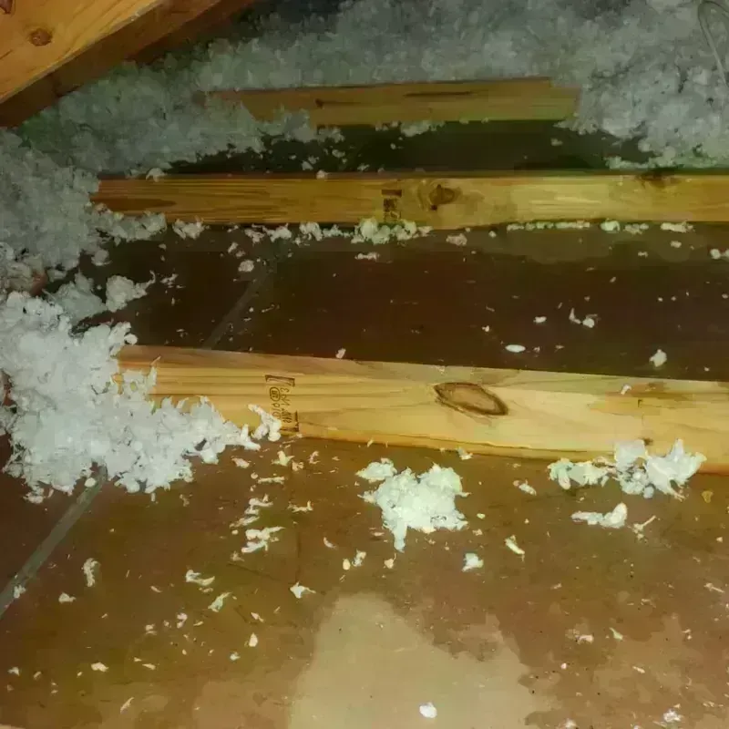 Attic Water Damage in Bogart, GA